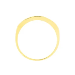 Histoire d'Or Alliance Davila De Zirconium