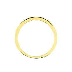 Alliance Rhea-Histoire d'Or New