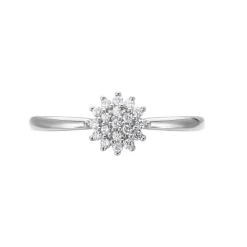 Bague Platine Alden Diamants-Histoire d'Or Online