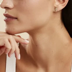 Histoire d'Or Boucles D'oreilles Puces Ambrosie Hippocampe Or Jaune