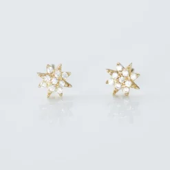 Histoire d'Or Boucles D'oreilles Puces Aubepine Or Jaune Oxyde
