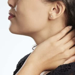 Boucles D'oreilles Puces Aconit Or Jaune Oxyde-Histoire d'Or Clearance