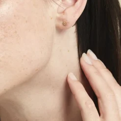 Histoire d'Or Boucles D'oreilles Puces Berberis Or Jaune Oxyde