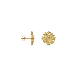 Histoire d'Or Boucles D'oreilles Puces Dyonis Acier Jaune