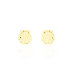 Boucles D'oreilles Puces Franzine Coquillage Or Jaune-Histoire d'Or Best