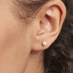 Histoire d'Or Boucles D'oreilles Puces Odelle Or Jaune Perle De Culture