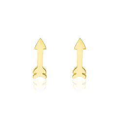 Boucles D'oreilles Puces Or Jaune Gnazi-Histoire d'Or