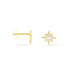 Histoire d'Or Boucles D'oreilles Puces Terry Or Jaune Calcedoine Et Oxyde