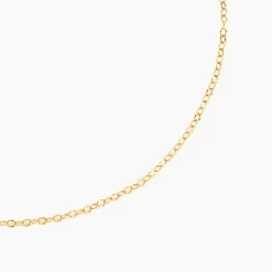Histoire d'Or Chaine Or Jaune Pilea