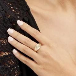 Histoire d'Or Chevaliere Plaqué Or Erditse Oxyde De Zirconium