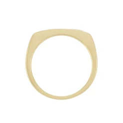 Chevaliere Plaqué Or Gregh Email-Histoire d'Or New