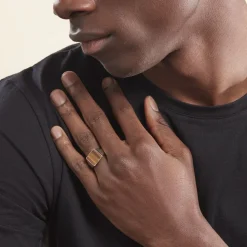 Histoire d'Or Chevalière Argent Blanc Atilio Oeil De Tigre