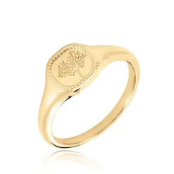 Chevalière Aviv Plaqué Or Jaune-Histoire d'Or Hot
