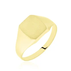 Histoire d'Or Chevalière Ayliz Or Jaune