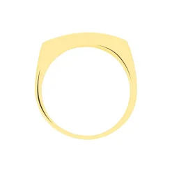 Chevalière Benton Rectangulaire Ligne Or Bicolore-Histoire d'Or Hot