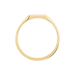 Histoire d'Or Chevalière Daniel