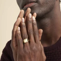 Histoire d'Or Chevalière Daniel