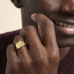 Histoire d'Or Chevalière Daniel