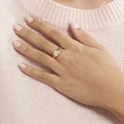 Histoire d'Or Chevalière Gregoire Plaqué Or Jaune