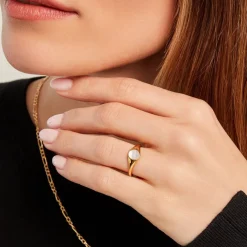 Chevalière Kent Or Jaune Nacre-Histoire d'Or Sale