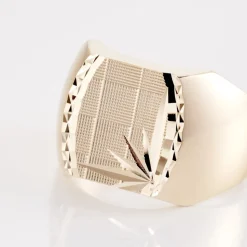 Chevalière Leoncette Plaqué Or Jaune-Histoire d'Or Discount