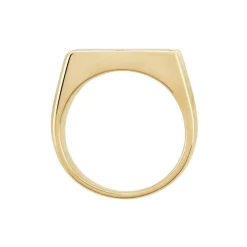 Histoire d'Or Chevalière Plaqué Hadrien Onyx