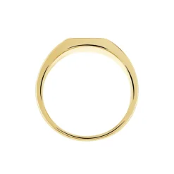 Chevalière Plaqué Or Jaune Ariston Email Noir-Histoire d'Or Online