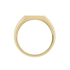 Chevalière Plaqué Or Jaune Nelson Email Noir-Histoire d'Or Sale