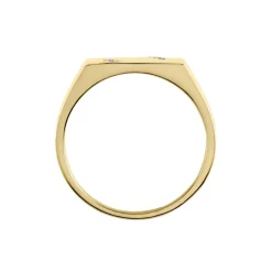 Histoire d'Or Chevalière Plaqué Or Jaune Asa Oxydes De Zirconium