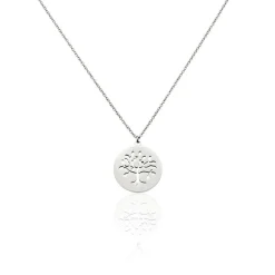 Collier Acier Blanc Ganet-Histoire d'Or