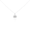 Collier Argent Cassien Oxyde-Histoire d'Or