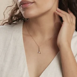 Histoire d'Or Collier Formev Or Bicolore Oxyde De Zirconium