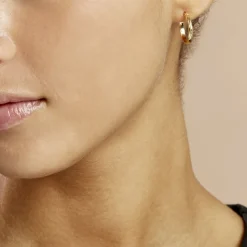 Créoles Ananas-Histoire d'Or Best