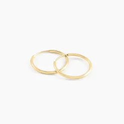 Histoire d'Or Créoles Dominae