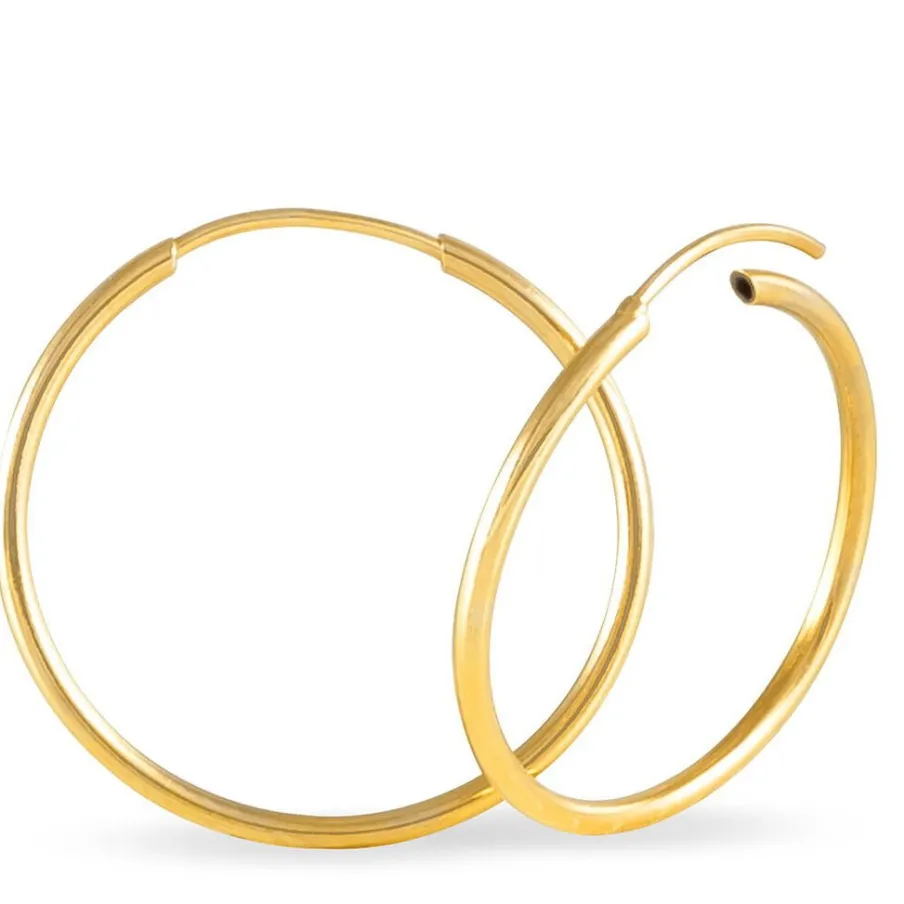 Histoire d'Or Créoles Dominae