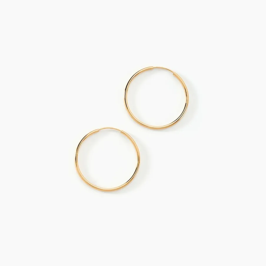 Histoire d'Or Créoles Dominae