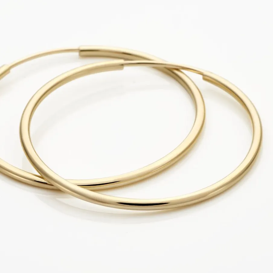 Histoire d'Or Créoles Dominae