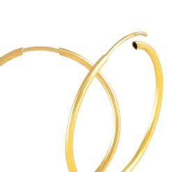 Histoire d'Or Créoles Dominae