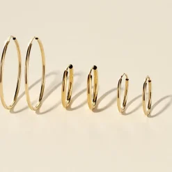 Histoire d'Or Créoles Dominae