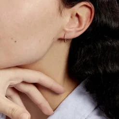 Histoire d'Or Créoles Dominae