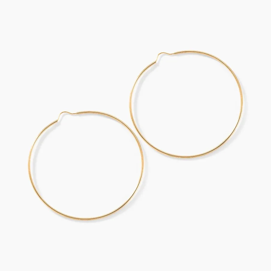 Histoire d'Or Créoles Dominae