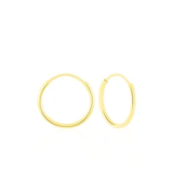 Histoire d'Or Créoles Dominae