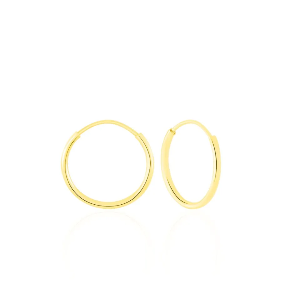 Histoire d'Or Créoles Dominae