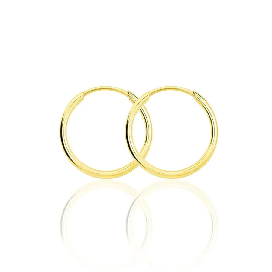 Histoire d'Or Créoles Dominae