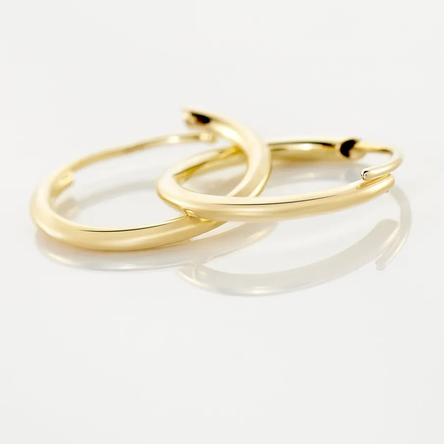 Histoire d'Or Créoles Dominae