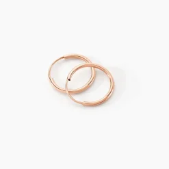 Histoire d'Or Créoles Dominae