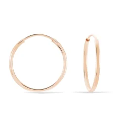 Histoire d'Or Créoles Dominae