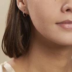 Histoire d'Or Créoles Dominae