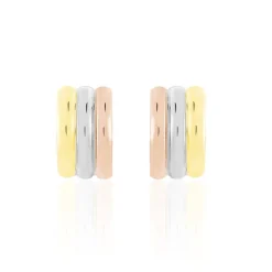 Histoire d'Or Créoles Igora Or Tricolore