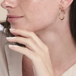 Créoles Verania-Histoire d'Or New